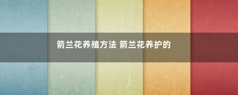 箭兰花养殖方法 箭兰花养护的流程